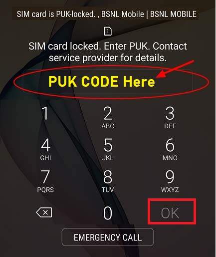 Enter PUK Code and Press OK Button