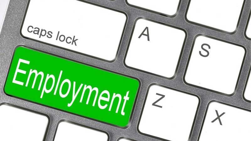 Essential Tips for Securing a⁢ Government Job on www.telangana.gov.in