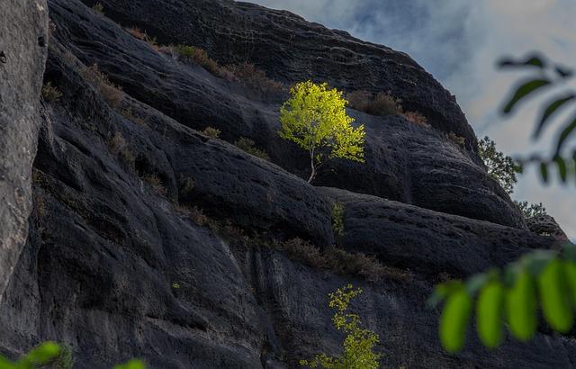 Harnessing the Potential of⁢ Geology: ⁤Strategies​ for ⁤the Mines and Geology​ Department in Haryana