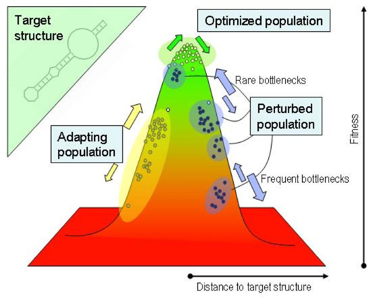 Adapting⁢ to Changing Workforce Demands
