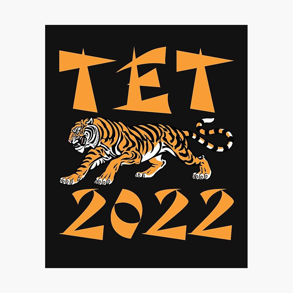 Important Steps to Follow‌ for⁣ Downloading TET 2022 ⁢Admit ‌Card